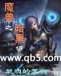 魔兽之暗黑领主