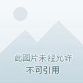 双子世界物语